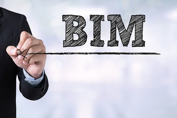 BIM