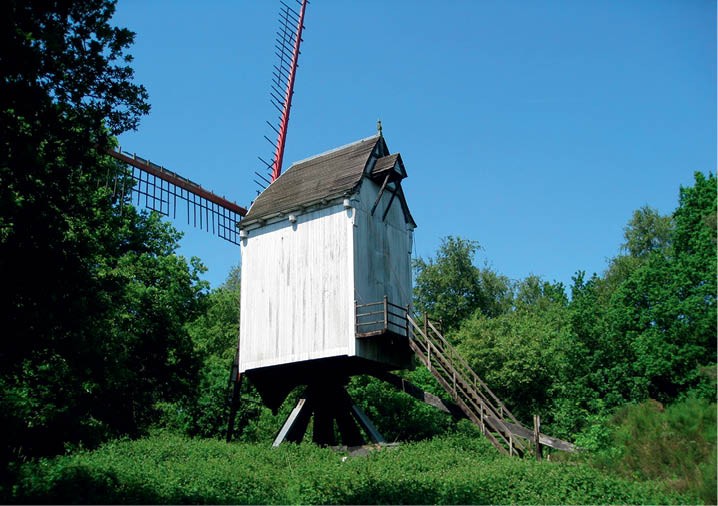 Kempens Landschap restaureert Tongerlose Beddermolen