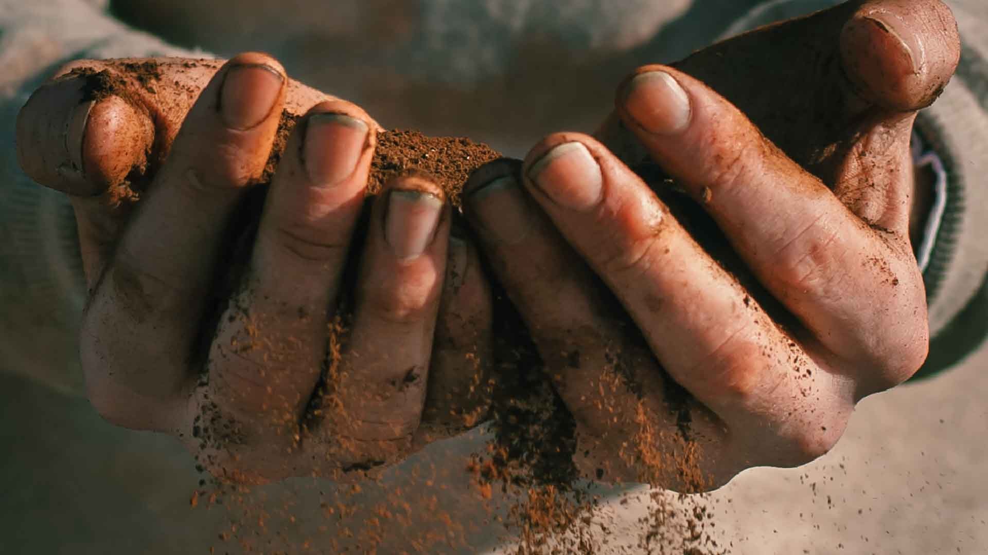 Grounds-Up_coffee-grounds3