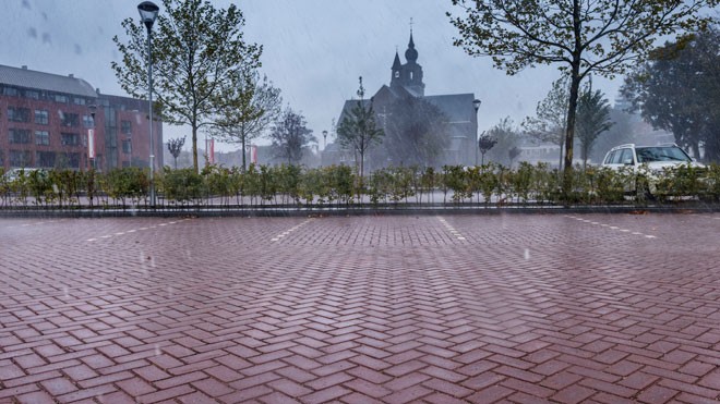 VDS_3_727A0_00000_Rossa_KF80DF_Kasteeltuin_Zevenbergen_NL_072_MR_ok