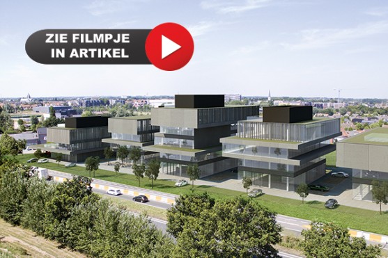 waregem film